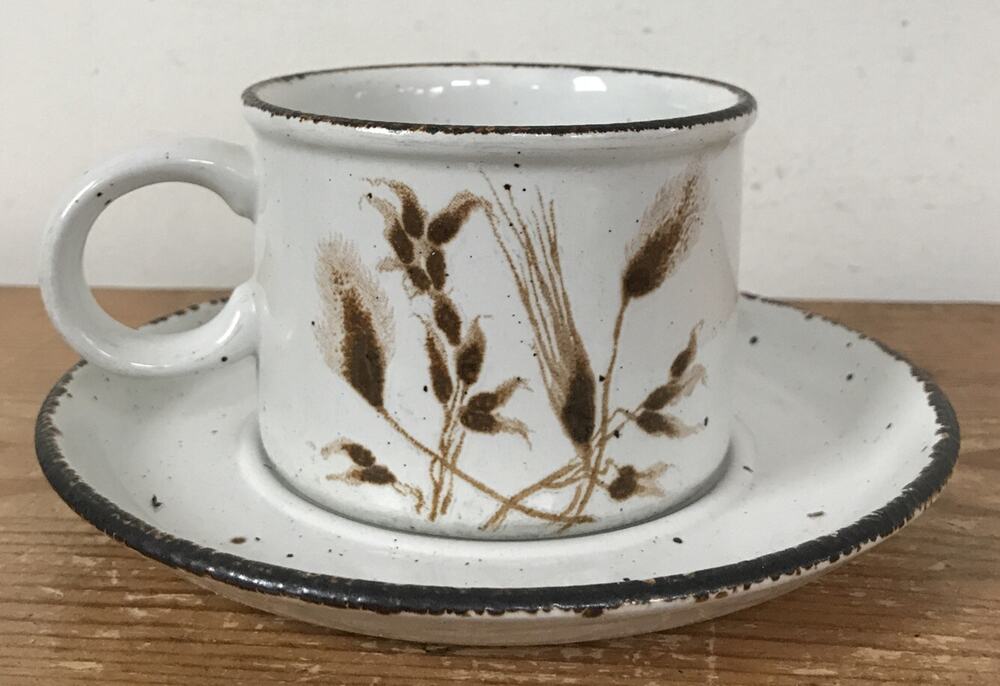 Set Pair Midwinter Stonehenge English Pottery Wild Oats Coffee Tea Cup & Saucer